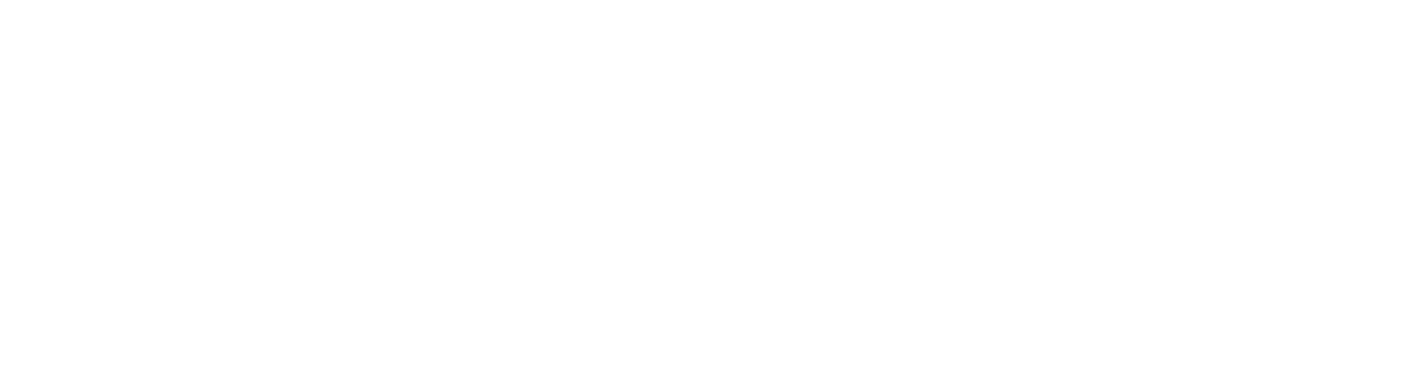 Macquarie Hospital Group